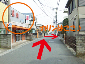 g~OTJւ̓ē@ʂ