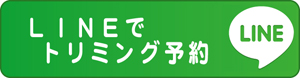 ˃g~OTJLINEł̃g~O\tH[
